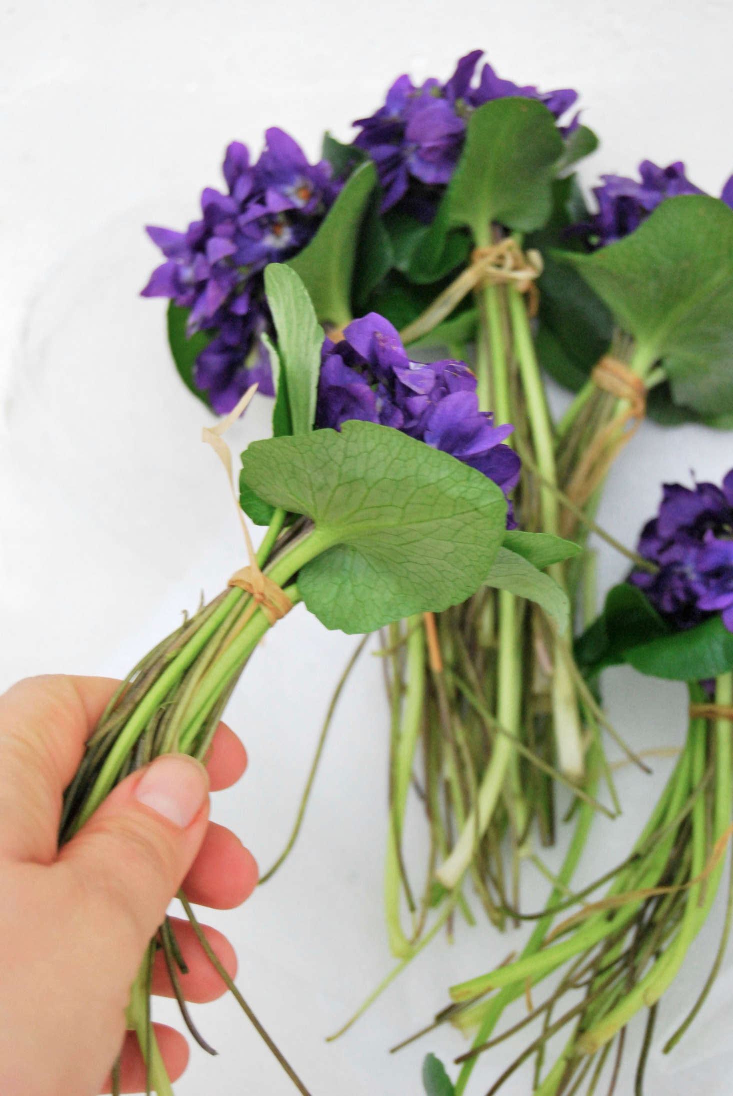 Carefully and gently re-cut the stems with scissors and make sure the vases are full to the top.