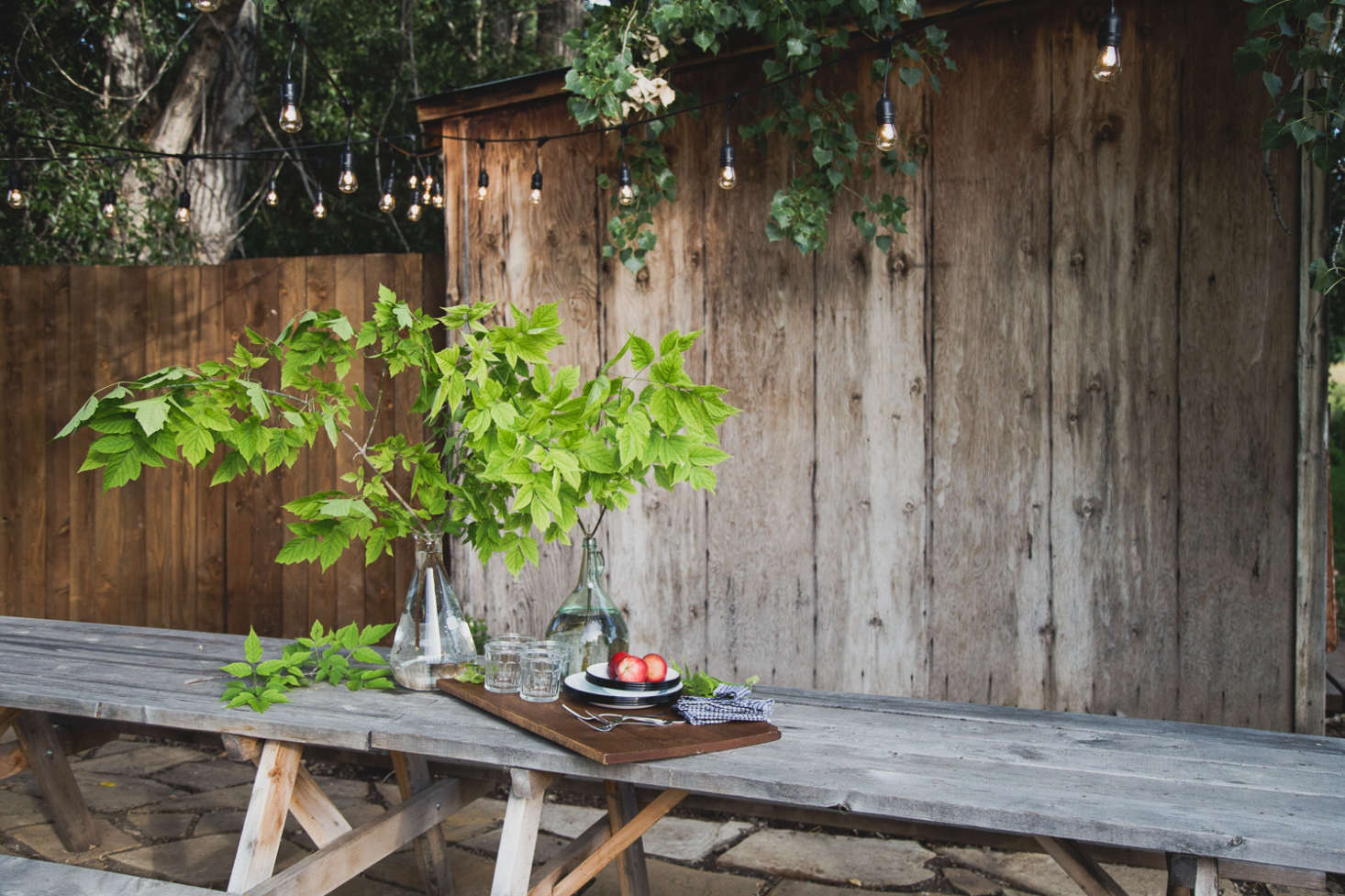 The trees provide shade, so no umbrellas are necessary, but to string globe lights evenly across, Carmella inserted black-painted conduit pipes at the corners. The shed will next be planted with New Dawn roses and clematis on a trellis.