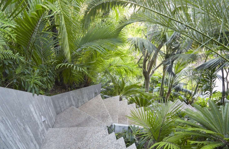 Lacy palm fronds soften the silhouette of a concrete stairway.