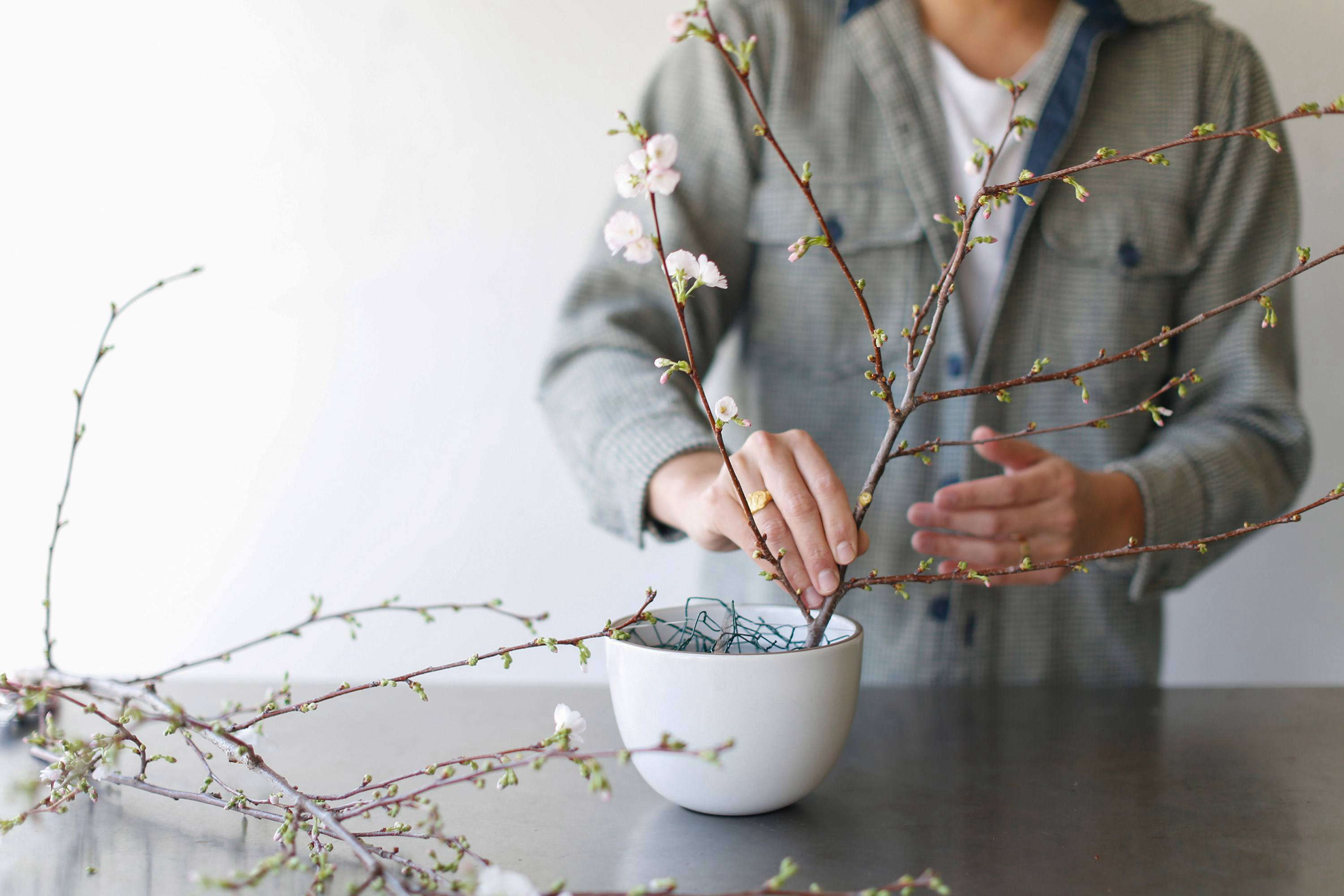 Spring Preview: How to Force Flowering Branches to Bloom Indoors