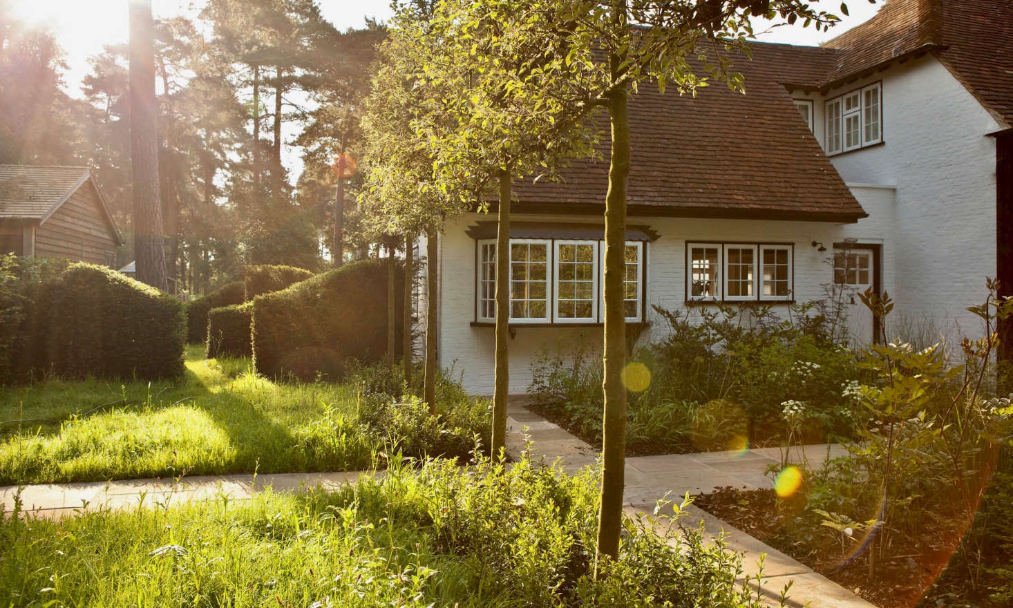 Gatehouse Garden A Dramatic Black Backdrop for a White Wildflower