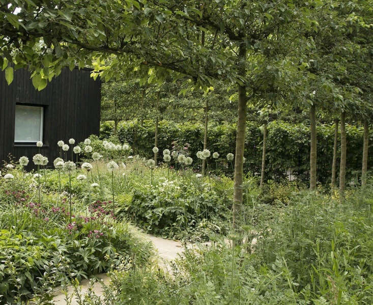 Planting alliums (which squirrels dislike) among other plants (making the bulbs harder to detect) is a good way to keep your bulbs safe. Photograph by Rosangela Photography, courtesy of Stefano Marinaz Landscape Architecture, from Gatehouse Garden: A Dramatic Black Backdrop for a White Wildflower Meadow.