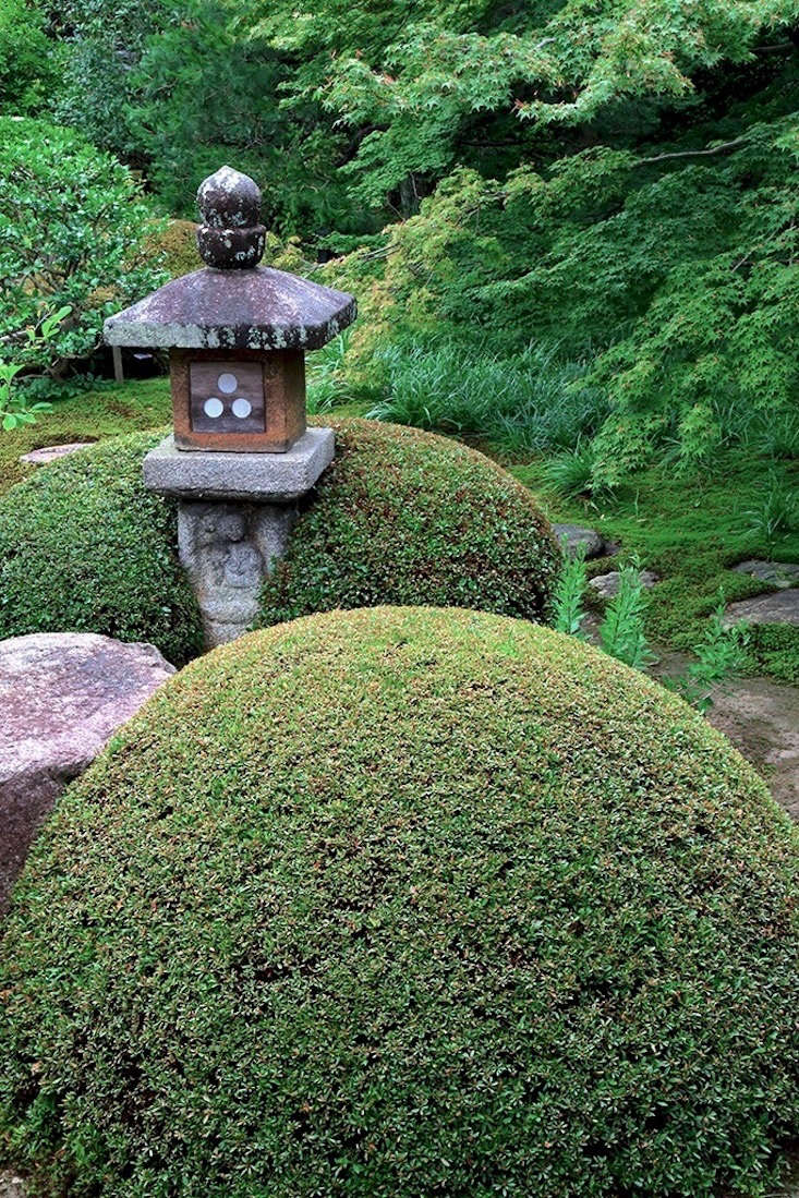  The most important part of the Japanese garden is its forms, and they’re green.