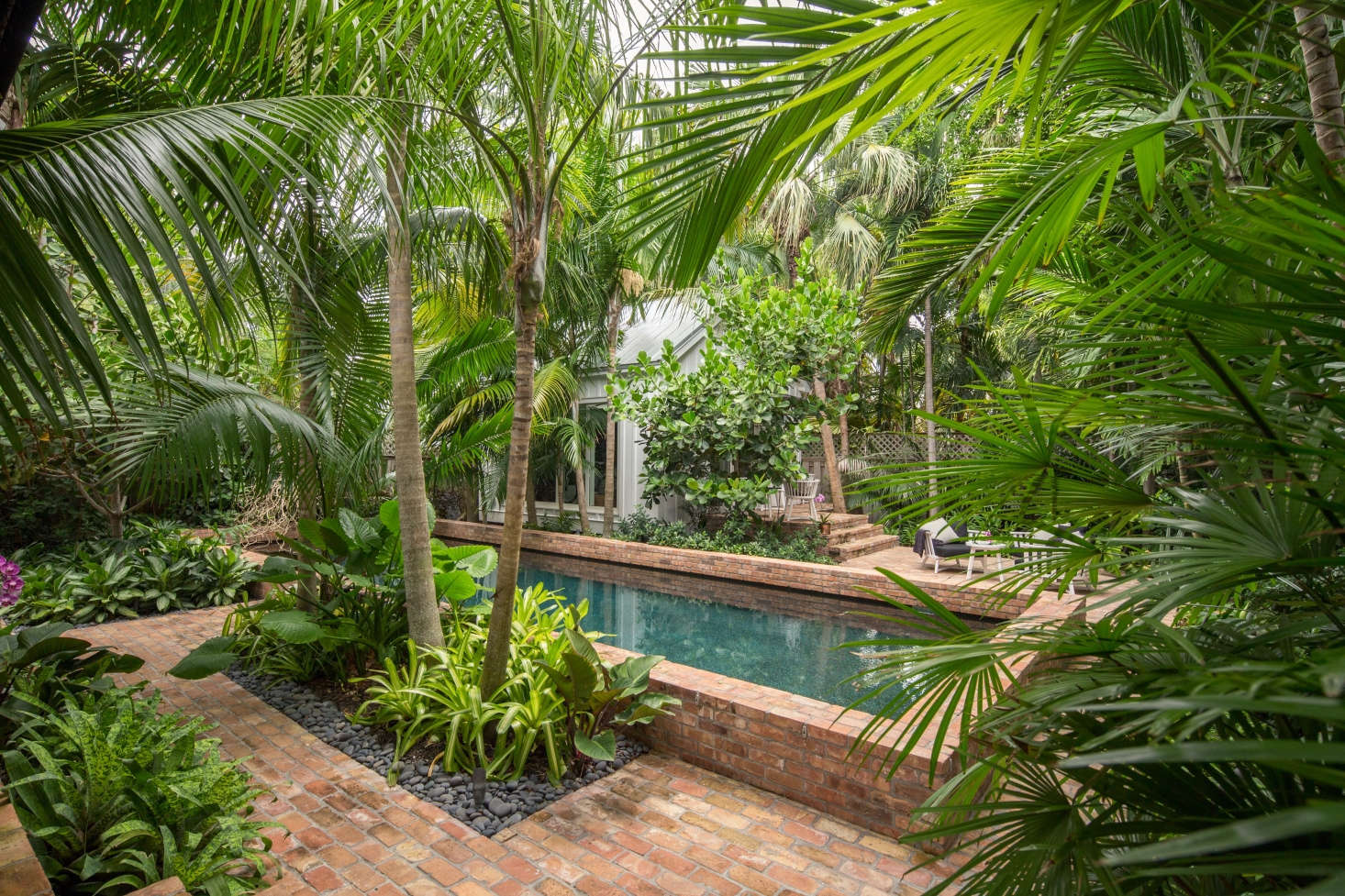 Rhapis humilis (slender lady palm) shields the pool and filters sunlight through its fronds.