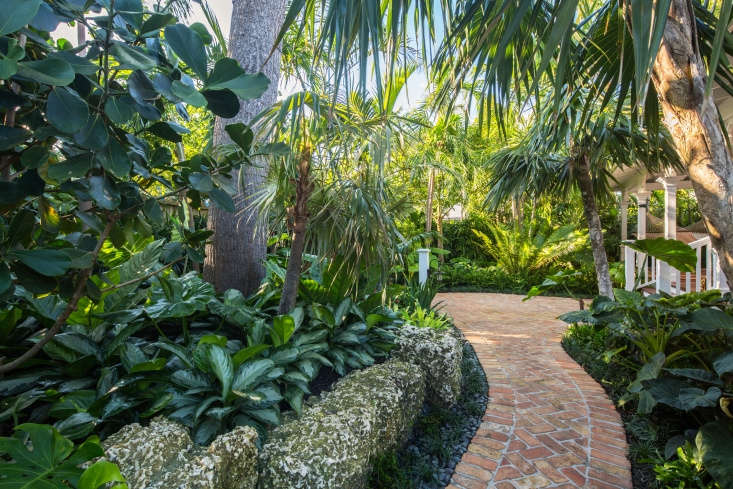 The oolite wall continues alongside a brick path that winds around the the side of the house. Behind the wall is planted a Florida silver palm (Coccothrinax argentata) and Aglaonema &#8\2\16;Silver Bay&#8\2\17;, with silvery foliage that lights up a quiet, shady spot.