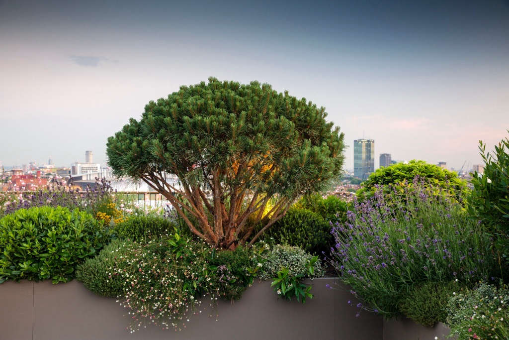 9 Ideas to Steal from Britain's Up-and-Coming Garden Designers - Gardenista