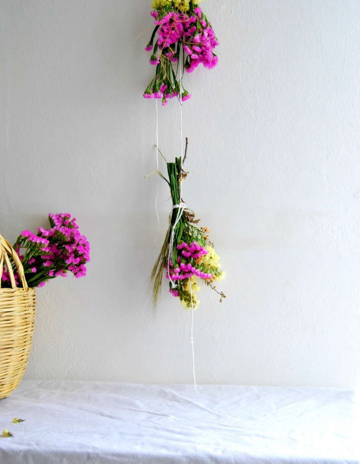 Flowers dry best hanging upside down, away from direct sunlight.