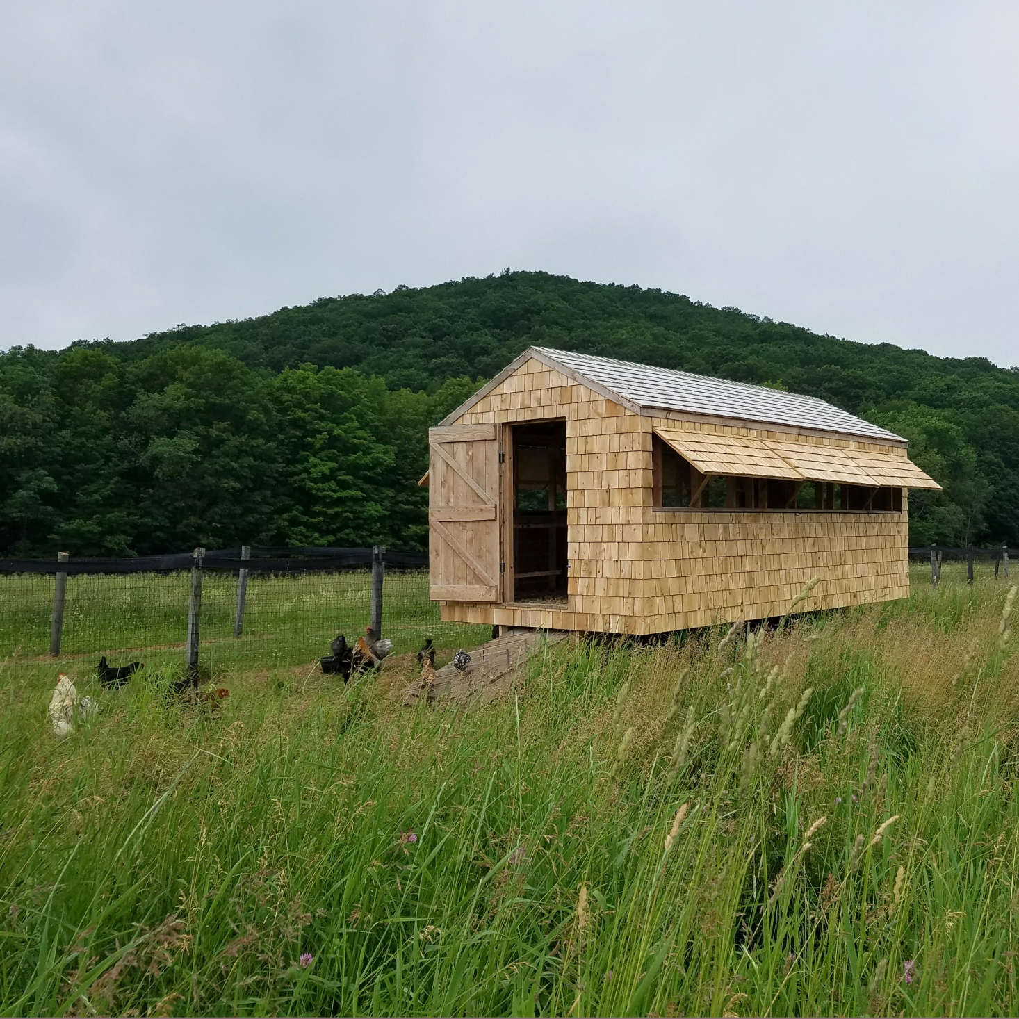 Dunn finished the coop with local hemlock and white cedar shingles (