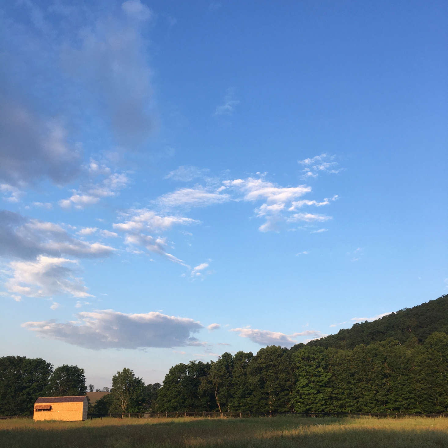 The coop sits in a pasture. Every week it gets shifted around the property, which enables the chickens to supplement their diet with grass and insects and also helps preserve and fertilize the land.