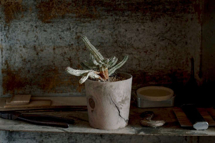 Also available from New Zealand–based Everyday Needs, a small, four-inch-high Japanese Cedar Planter Pot is \$85 NZD.