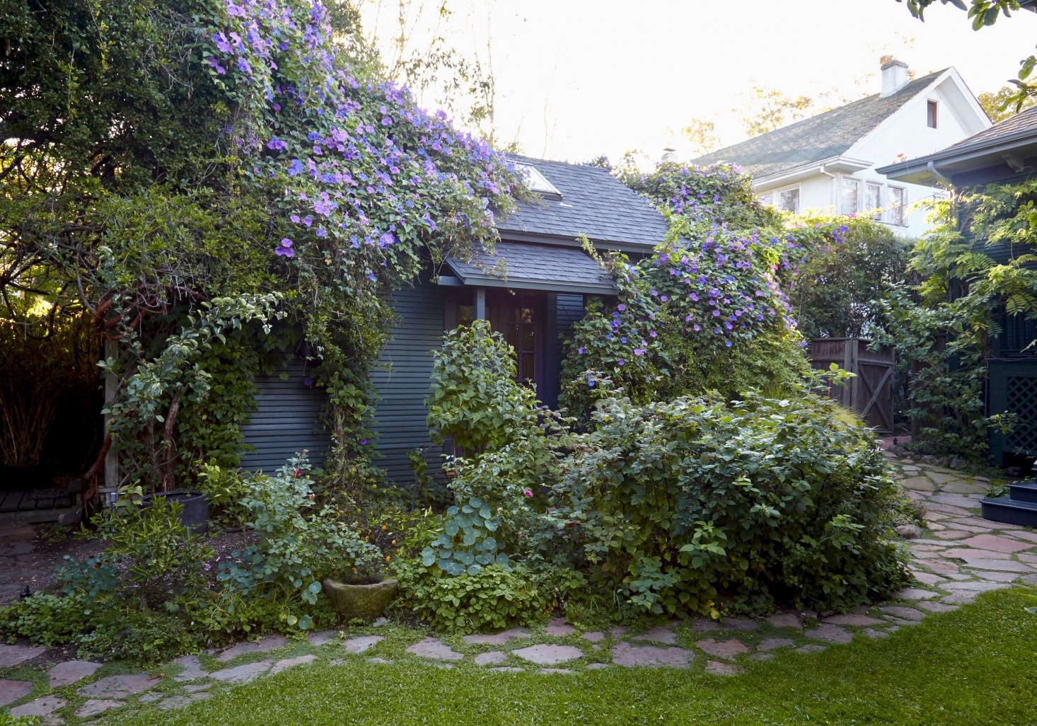 A riot of morning glory vines and nasturtiums keep company in chef Alice Waters’s garden in Berkeley, California. See more in Californians at Home: Intimate Portraits by Leslie Williamson.