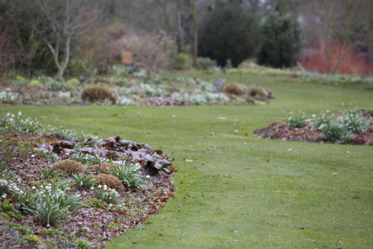 Bergenia edging. In the words of Beth Chatto: &#8\2\20;pinning down the curve of a border or catching the eye in the distance, where repetition adds to the effect.&#8\2\2\1;