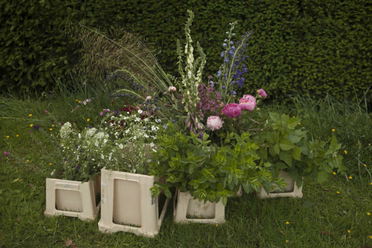 Florist&#8\2\17;s buckets, Chatsworth. Photograph by Jim Powell.