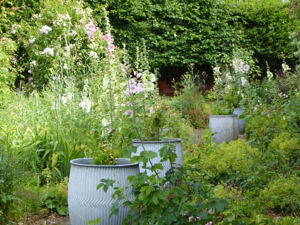 Everything You Need to Know About Cottage Gardens Gardenista