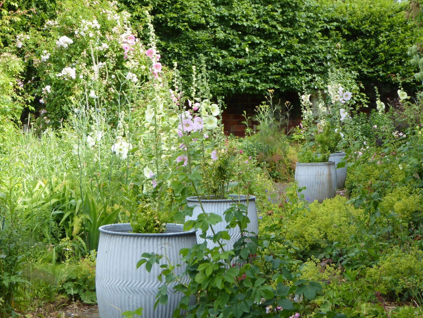 At a former estate gardener