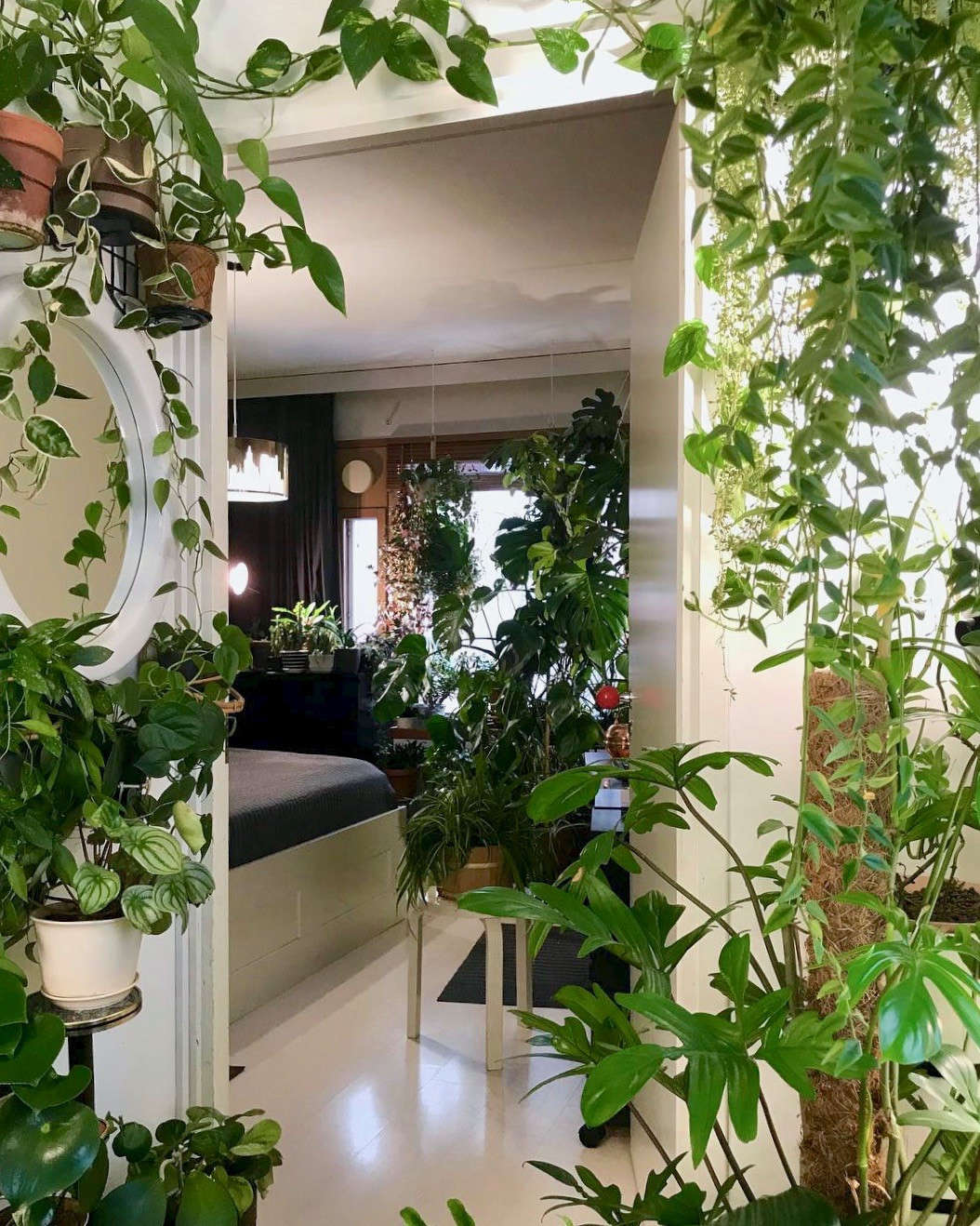 Minimalism is definitely not the vibe of this plant-packed account, which will make you wonder why you stopped at only a few dozen plants.