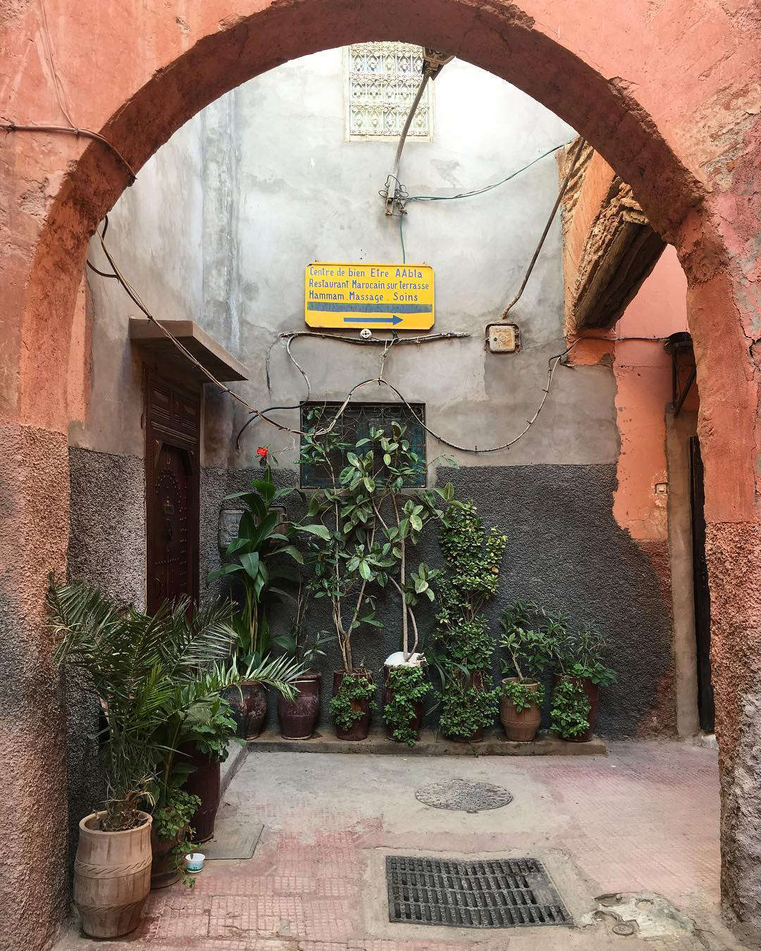 houseplant 10 Best Hashtags to Explore on Instagram Gardenista