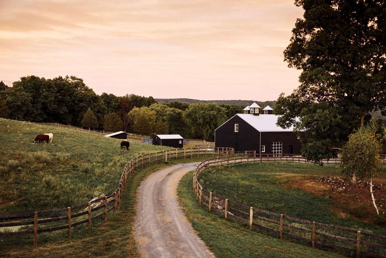 For more, see Sky High Farm: Artist Dan Colen’s Painterly Landscape in the Hudson Valley. Photograph by Rush Jagoe, courtesy of Berman Horn Studio.