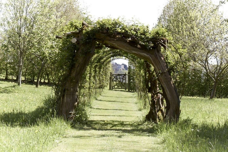 A mown grass path beneath an arch of apple and pear branches. See more at Garden Visit: A Modern Garden for a Gothic Estate in the Cotswolds. Photograph by Britt Willoughby Dyer.