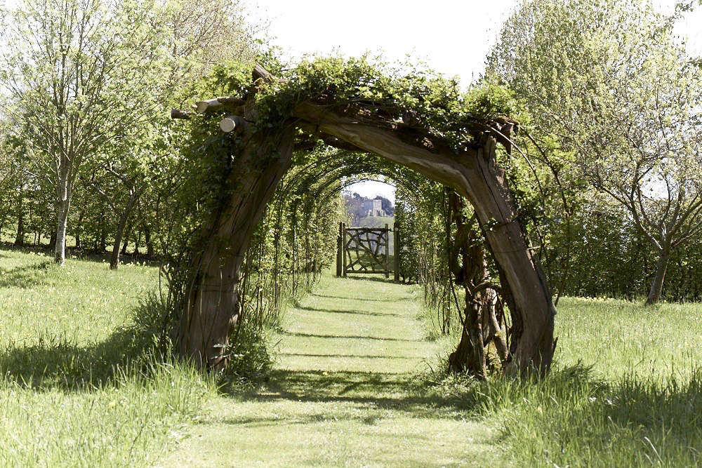 A mown grass path beneath an arch of apple and pear branches. See more at Garden Visit: A Modern Garden for a Gothic Estate in the Cotswolds. Photograph by Britt Willoughby Dyer.