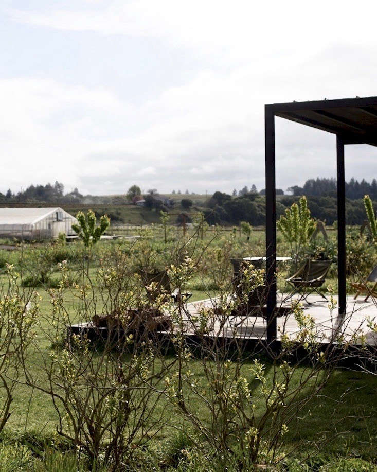 See more at Field of Dreams: A New Kind of Farm—for Members—at Noci Sonoma. Photography by Mimi Giboin.