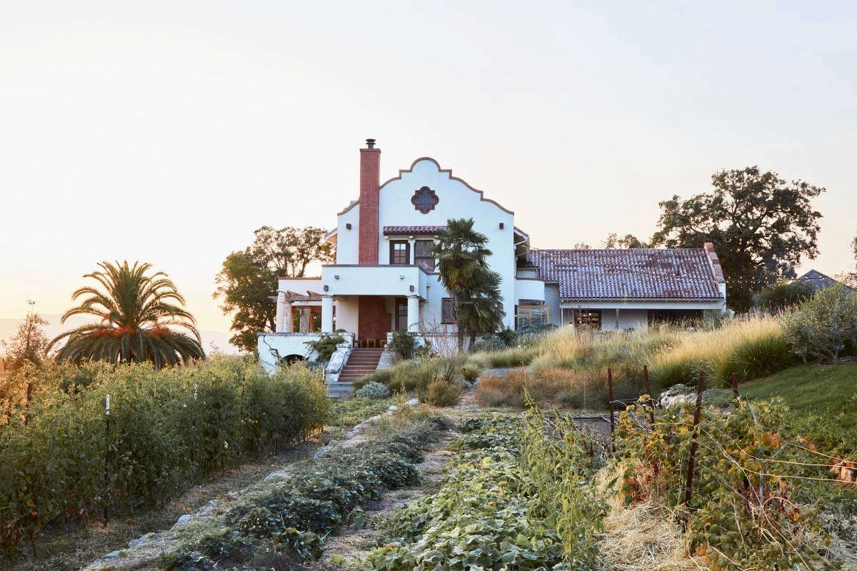 See more at Before & After: A Landscape Where ‘Horticultural Worlds Collide’ at Scribe Winery. Photograph courtesy of Terremoto.