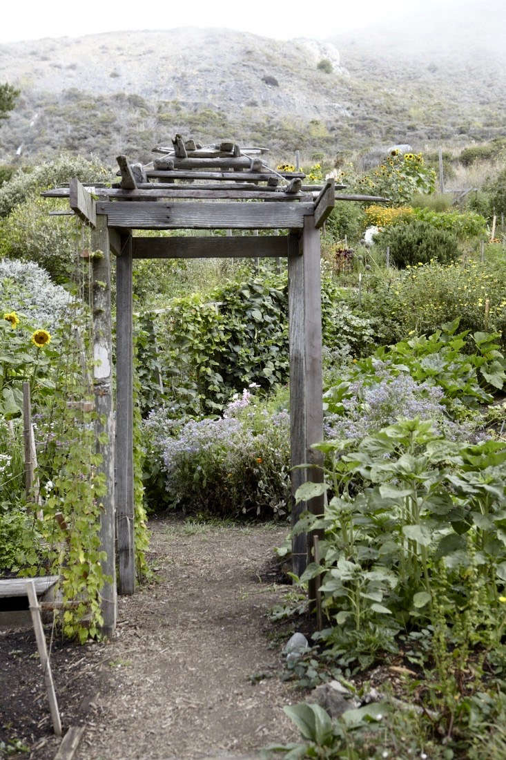 For more, see Slide Ranch, at the Edge of the World. Photograph by Katie Newburn.