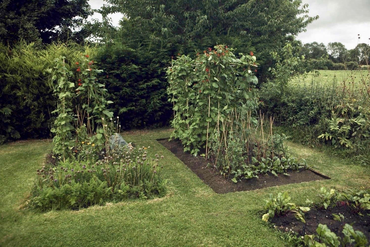 See more at Can This Garden Be Saved: ‘My Vegetable Garden Looks Messy’. Photograph by Jim Powell.