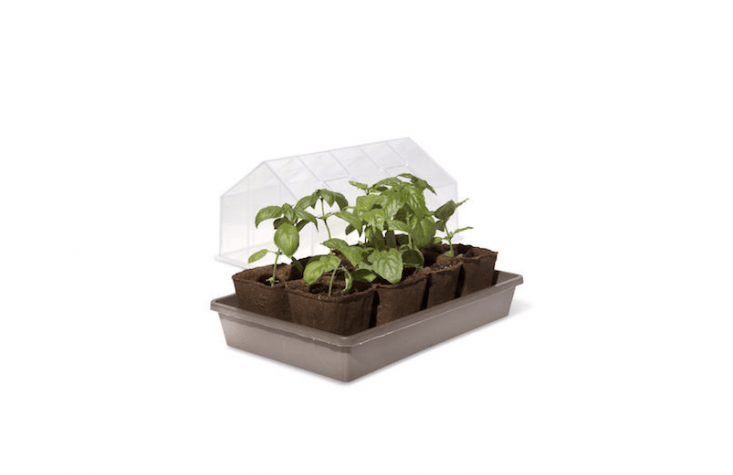 A mini Tabletop Greenhouse has a vented cover; \$\19.95 from Gardener&#8\2\17;s Supply.