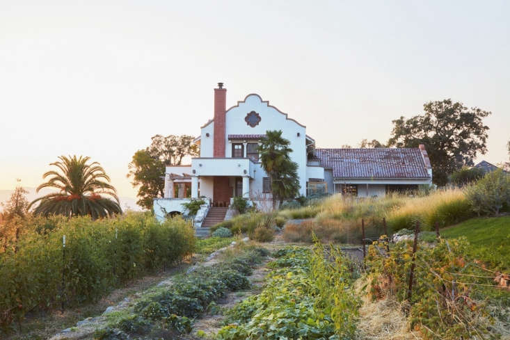  A whimsical mix of ornamental grasses, succulents, low-water perennials, and a monster palm tree welcome guests to the hacienda.