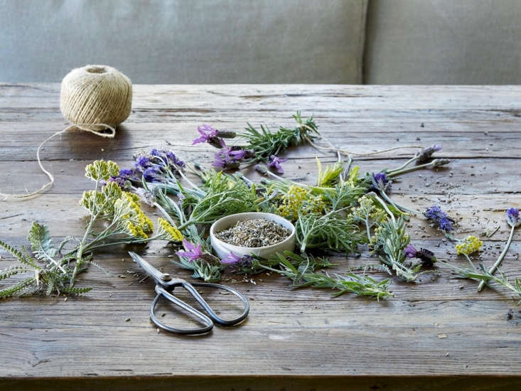 Dried lavender flowers (in the bowl) and other aromatics such as yellow Achillea pair well in potpourri. See tips for making your own herbal sachets in DIY: Modern Mothballs (No Chemicals Included). Photograph by Aya Brackett.