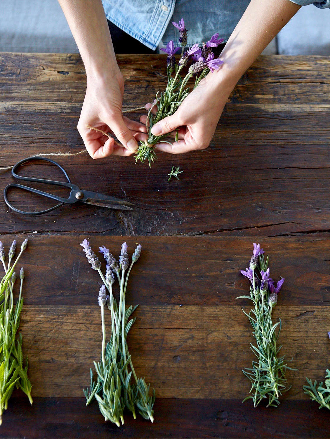 The other day at my house we experimented with making dried herbs with Spanish lavender flowers; Meredith secured bundles with twine. (Watch for our upcoming post on dried herb bundles.) Photograph by Aya Brackett.