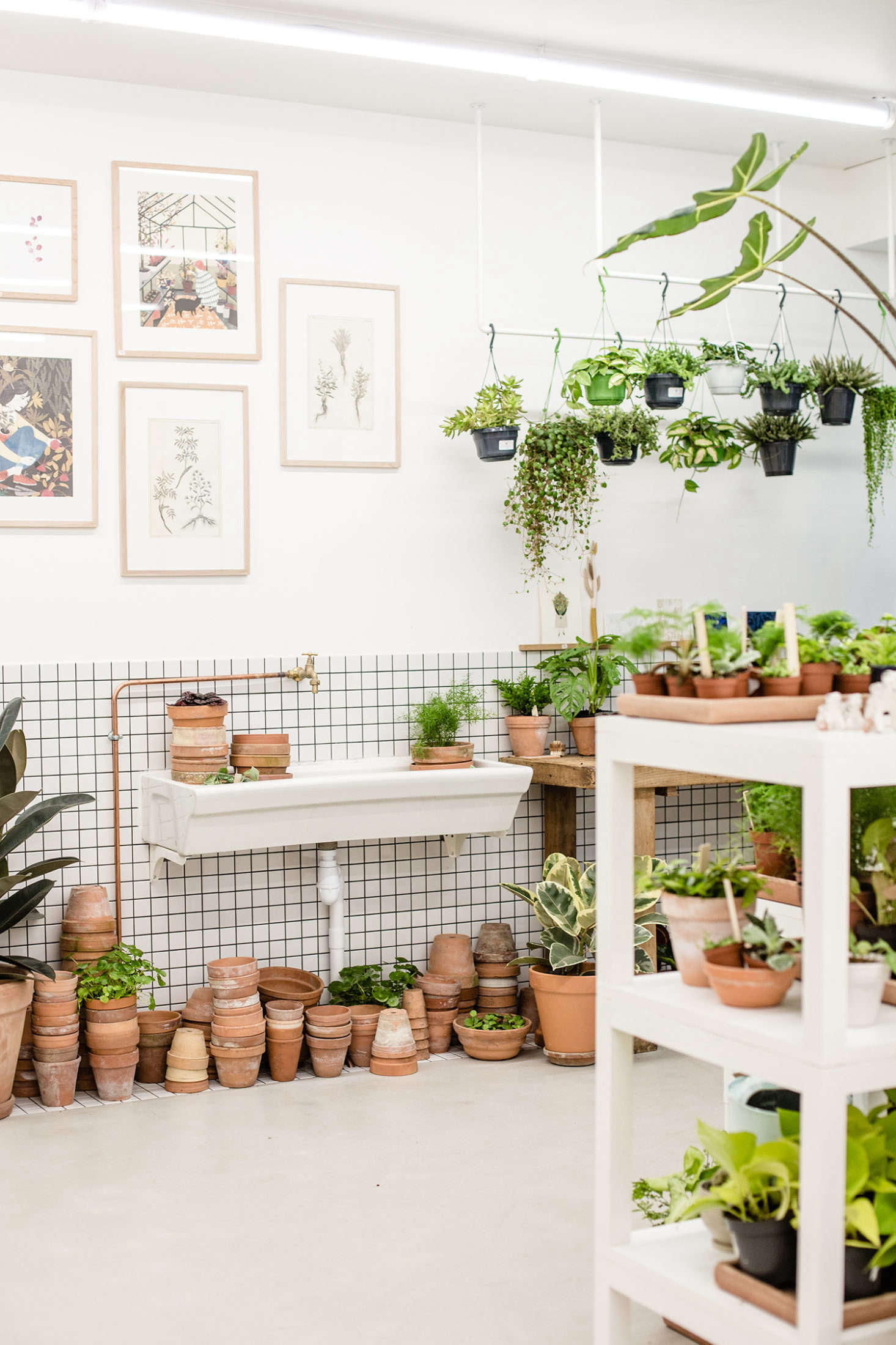 Tiled walls and exposed copper plumbing: Leaf is a houseplant laboratory.