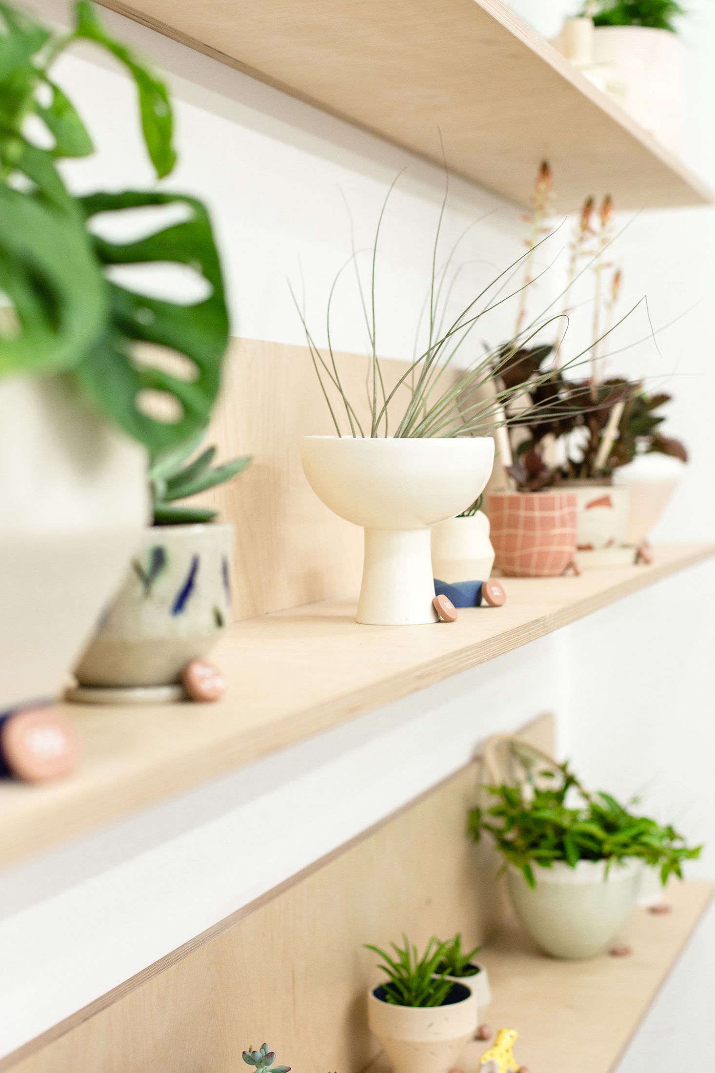 A spiky tillandsia explodes from a ceramic planter. Leaf sells small-batch pots, planters, and vases from a diverse group of ceramists, including Copenhagen-based Arhoj and Portland, Oregon–based Mimi Ceramics.