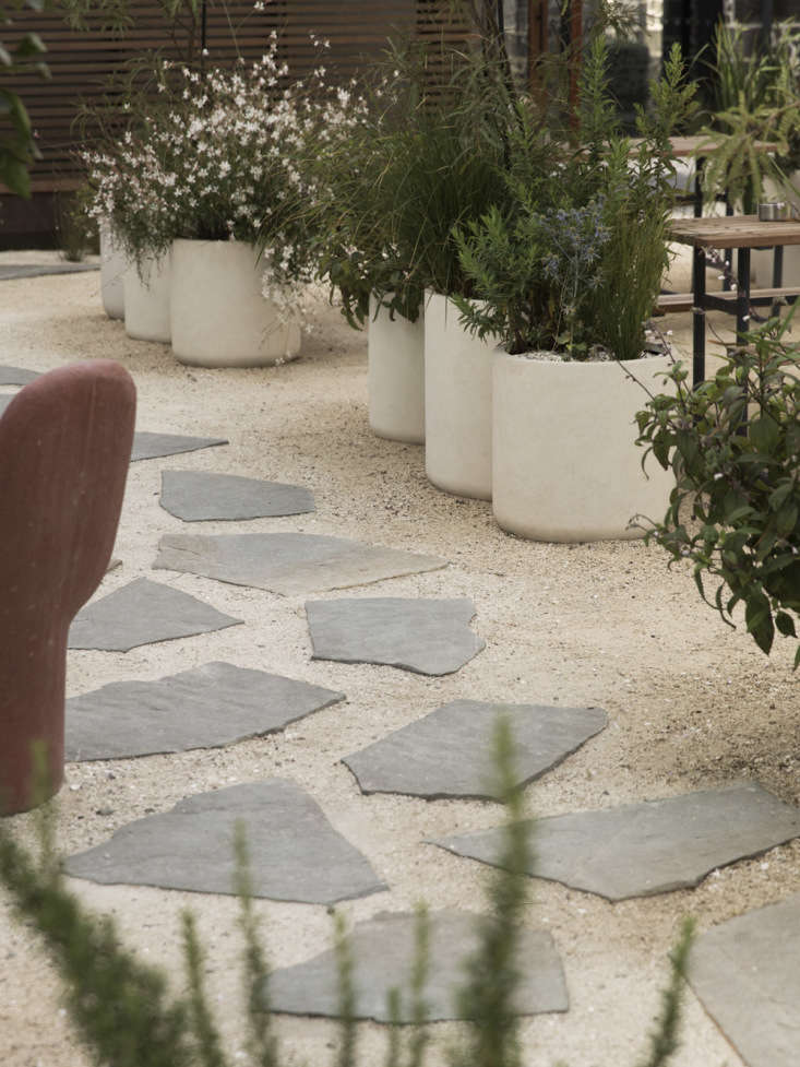 The row of white concrete pots are planted with Sophora chathamica (a native coastal Kowhai tree), Salvia &#8\2\20;Waverly&#8\2\2\1;, Gaura lindheimeri, Carex testacea, Dwarf eryngium, and rosemary.