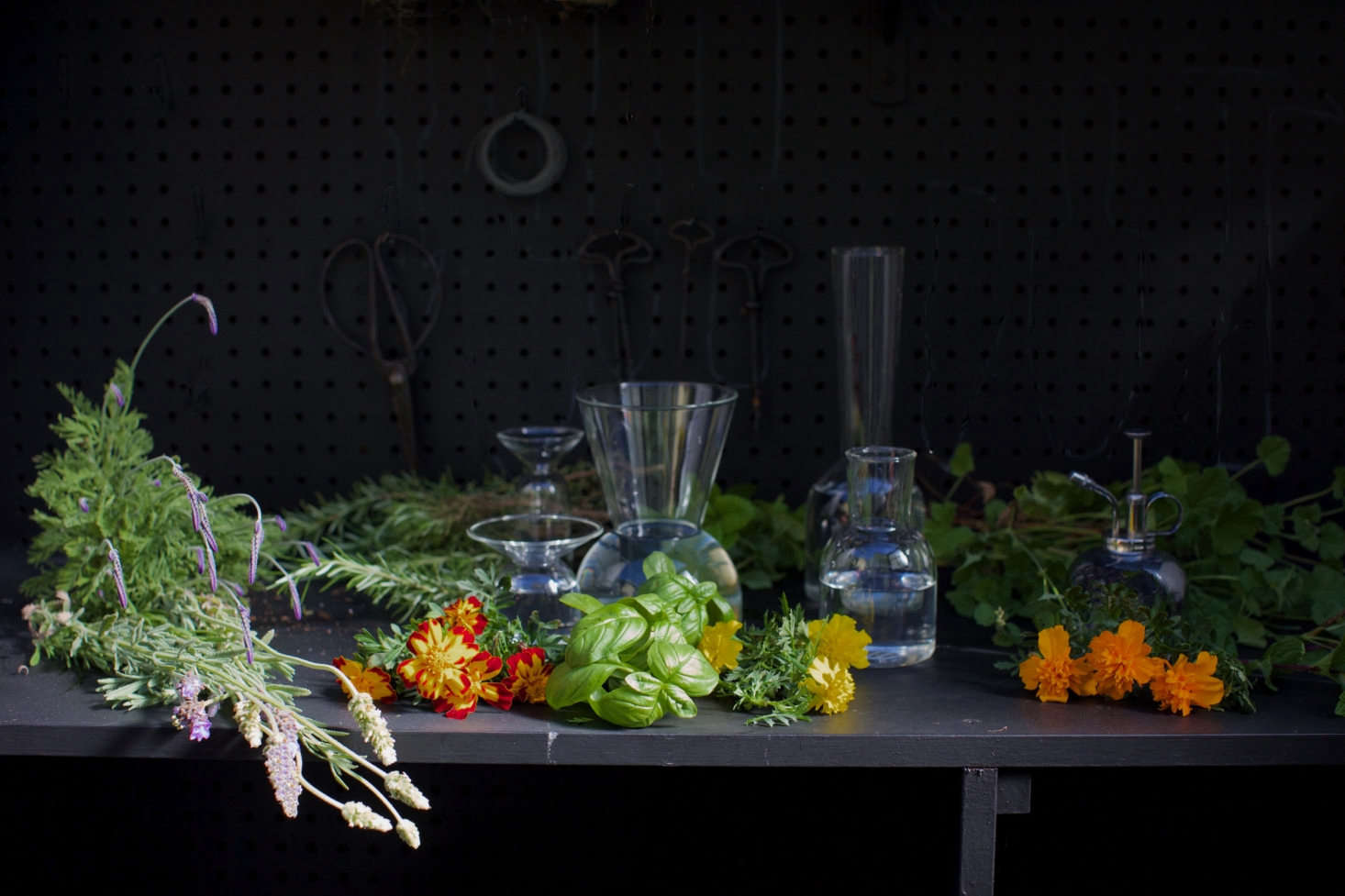 See more in Mosquito Repellent: 5 Flowers and Herbs to Keep Pests Away. Photograph by Mimi Giboin.