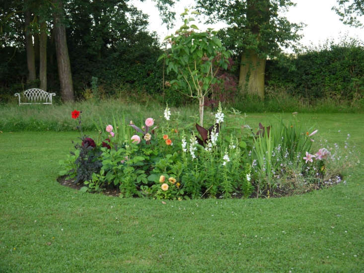 Tropical plants mingle with the dahlias in Charlie Hart&#8\2\17;s English garden.