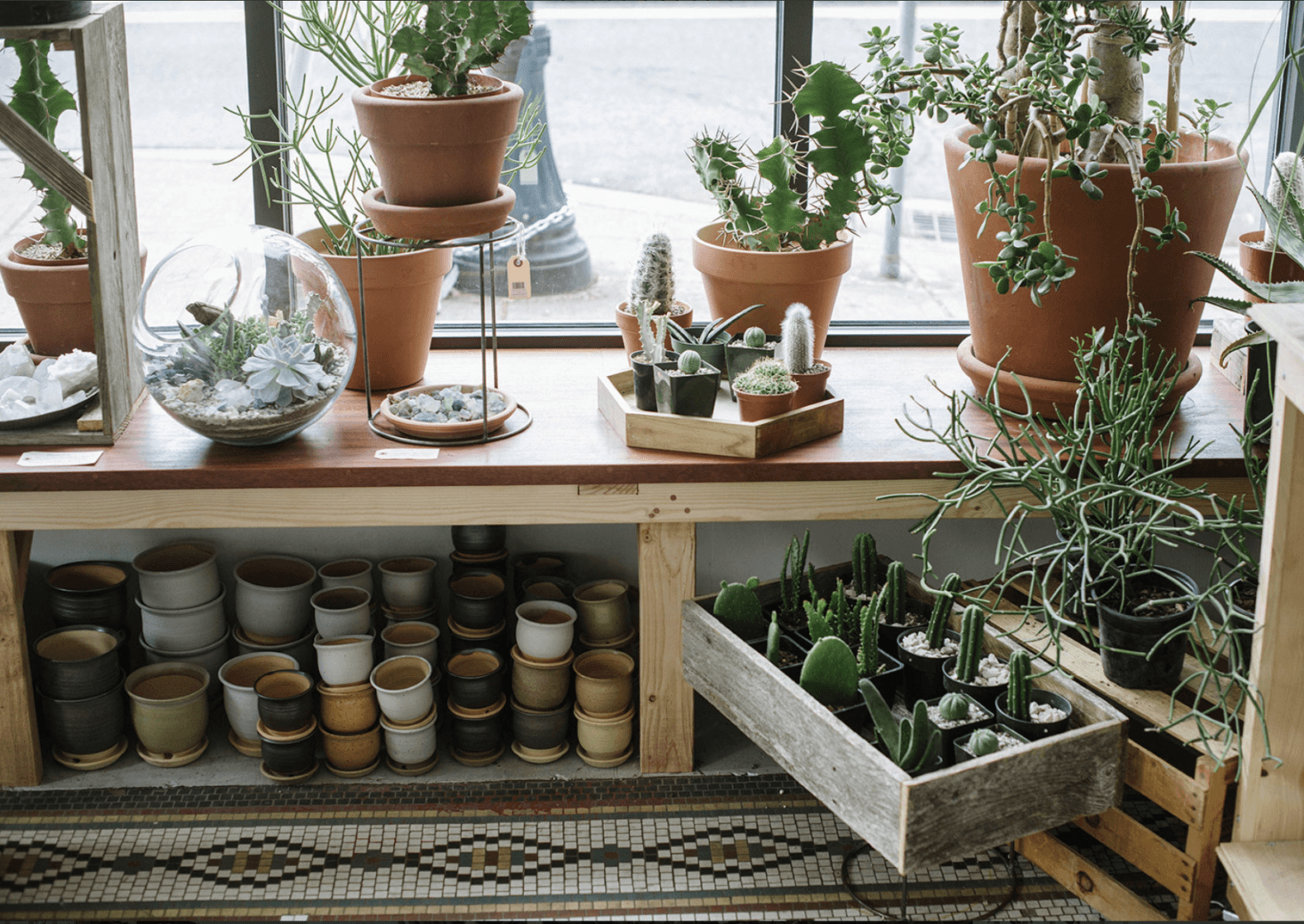 One of our favorite plant shops in Portland, Oregon. See more at Shopper’s Diary: A Drugstore-Vintage Vibe at Solabee Flowers in Portland. Photograph courtesy of Solabee.