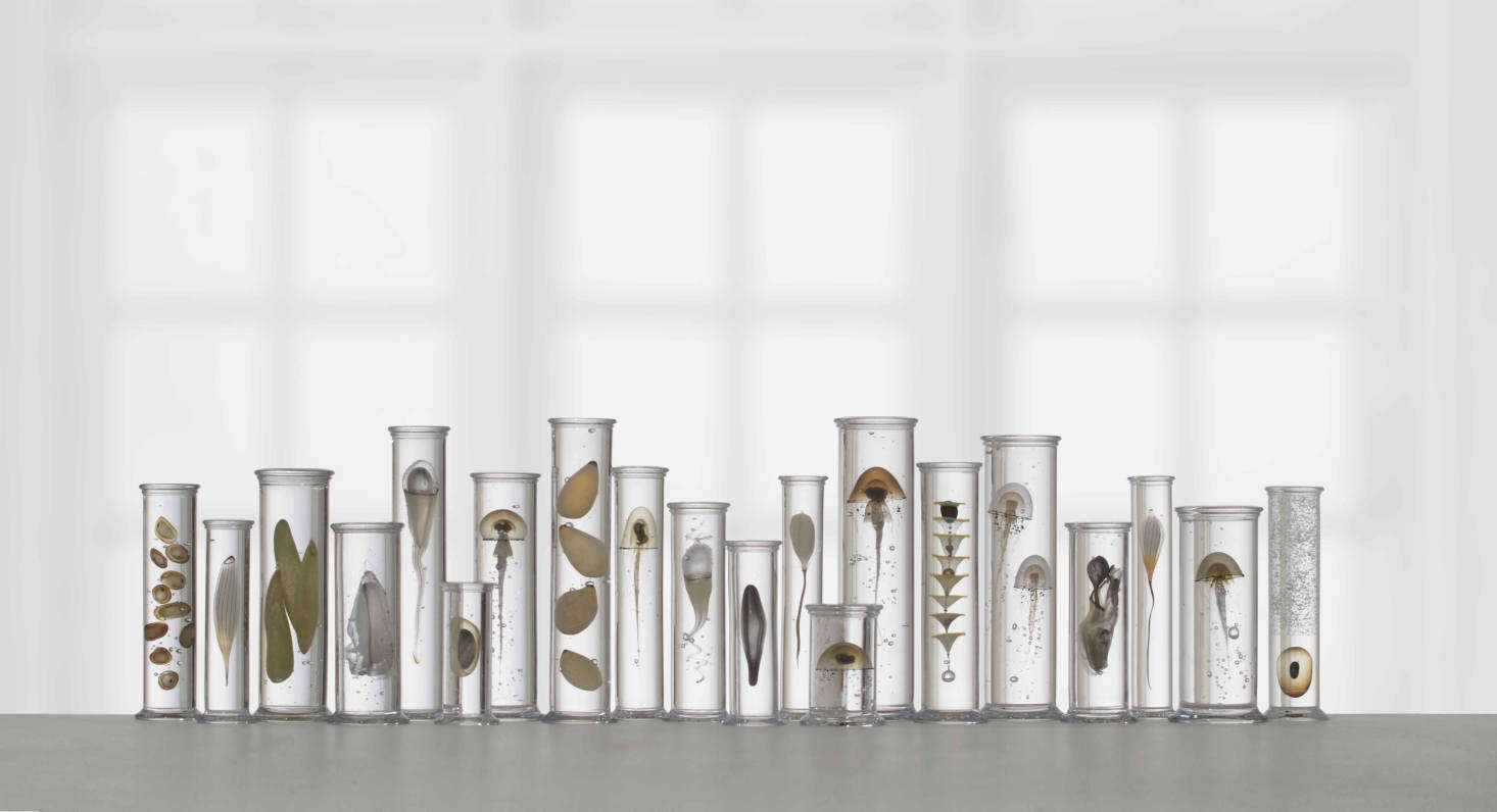 Dam names his test-tube ensembles things like 