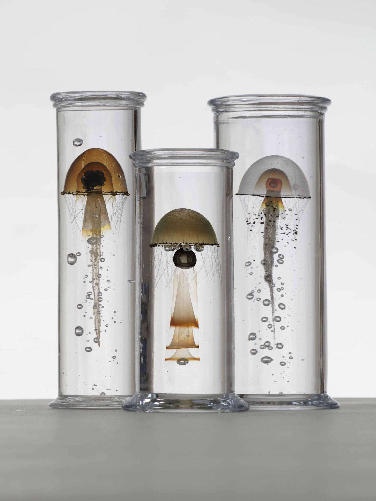 For the past decade, Dam has been working on a series of crystal Jars that contain his invented aquatic worlds. Shown here, jellyfish-like 