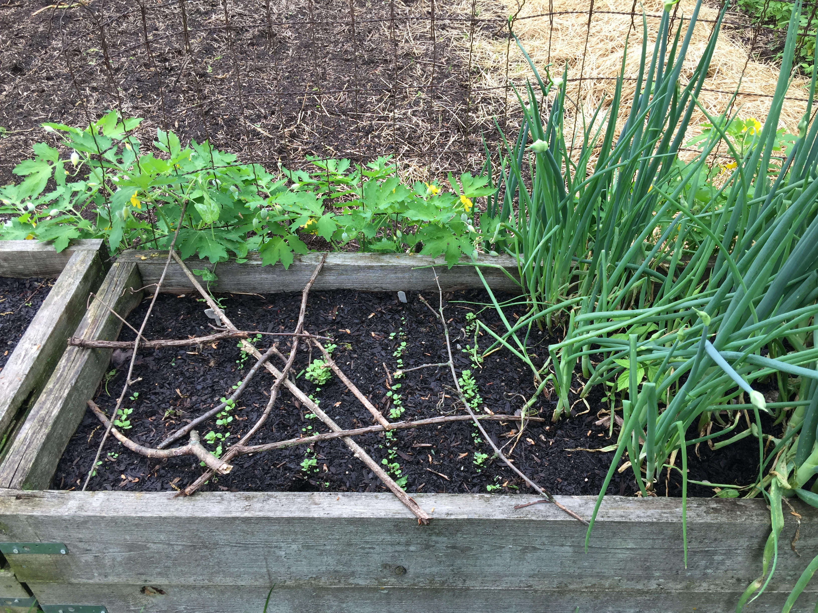 Appalachian Gardens 10 Ideas to Steal for Edible Gardens