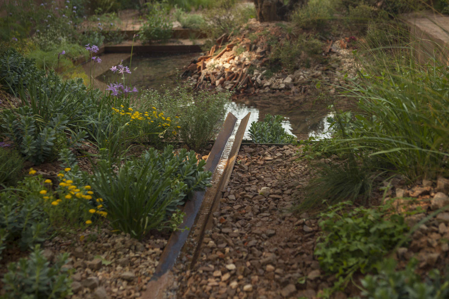 A Corten steel rill leads to the edge of one of several pools that reflect trees along with the sky.