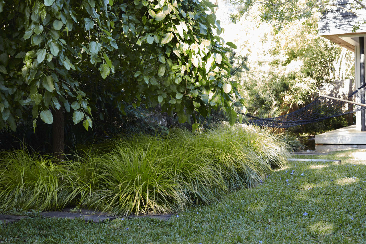 Next to the pond, a hammock hangs from a crape myrtle tree. It