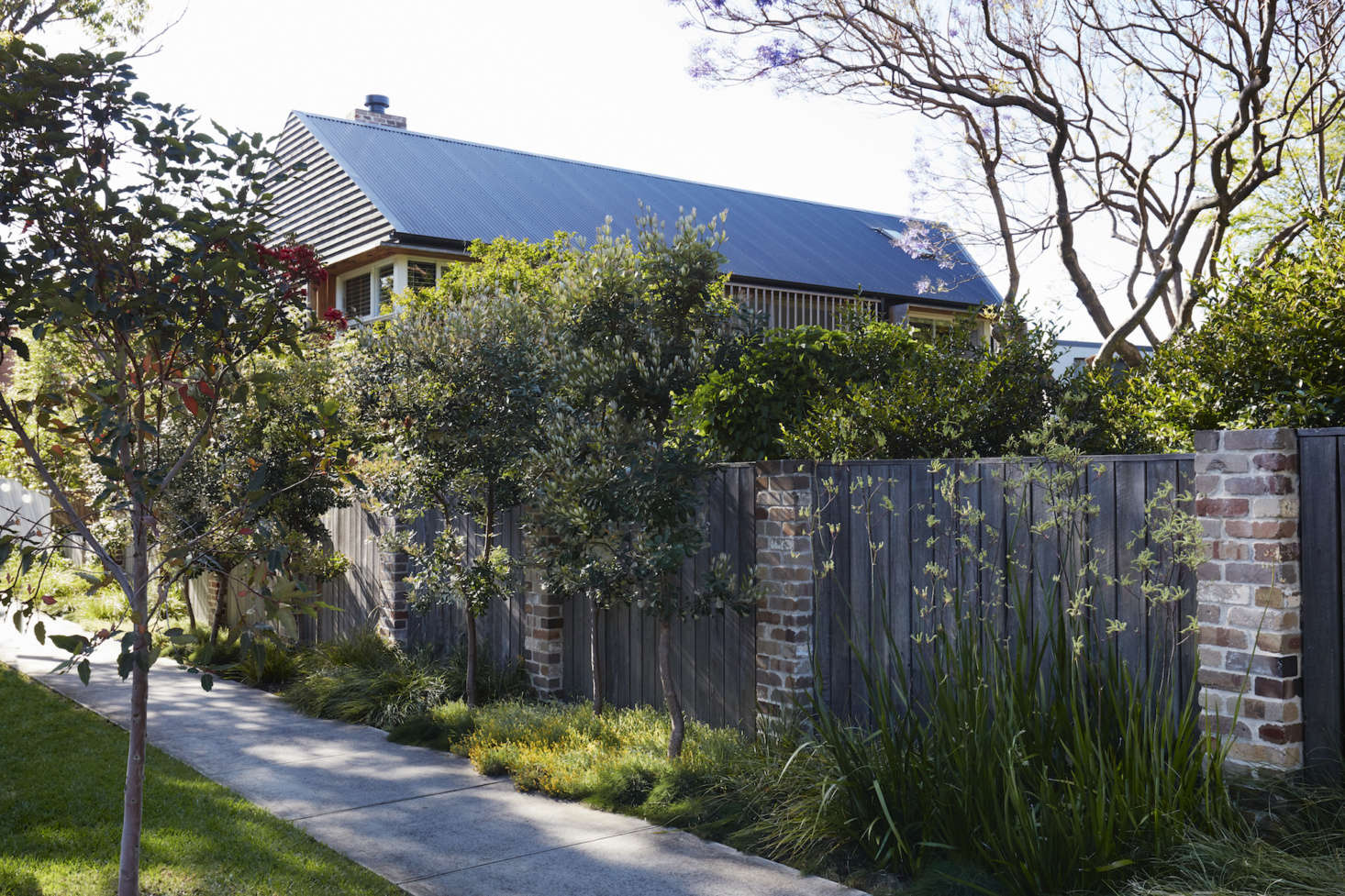Dangar set the front fence back from the sidewalk by a few feet and planted Australian native grasses along it, to 