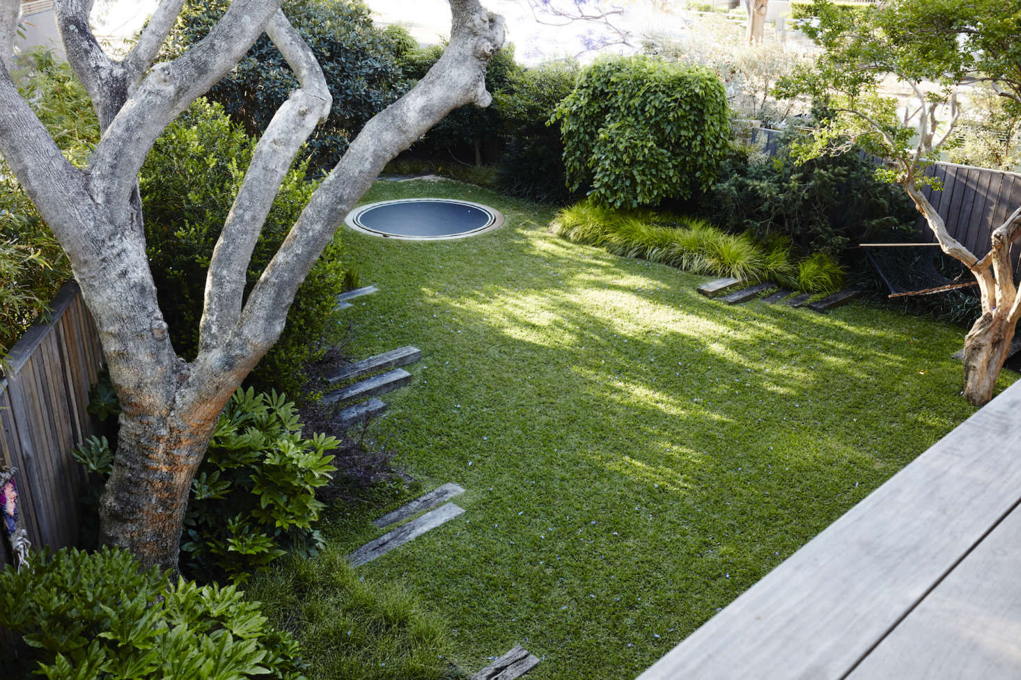 Photograph by Prue Ruscoe, courtesy of William Dangar, from Downsizing a House to Expand the Garden: At Home with Landscape Architect William Dangar.