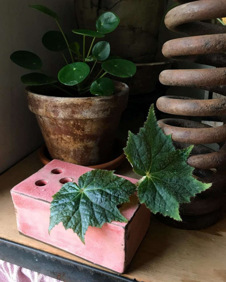 Coming soon is a collection of ceramic bricks with holes to hold single stems, a collaboration with florist Sophia Moreno-Bunge. &#8\2\20;How perfect they are for rooting!&#8\2\2\1; says Rowley.