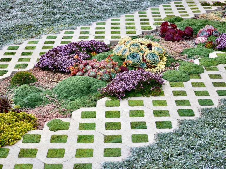 Paver Ribbons Grass Block Pavers: Everything You Need to Know for a Driveway