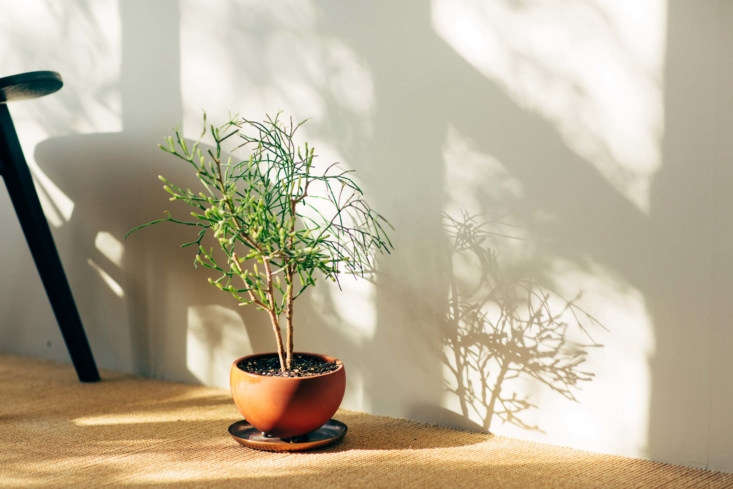 The larger Marco Pot, sitting nicely upright.