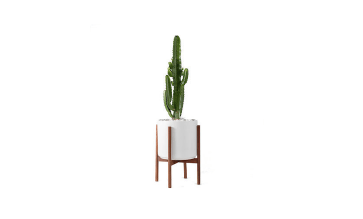 An Extra-Large Mid-Century Modern Planter and wood plant stand are sold separately or as a set. The plant stand is \$85; with the \1\2-inch ceramic planter, the set is \$\145 at East Pine via Etsy.