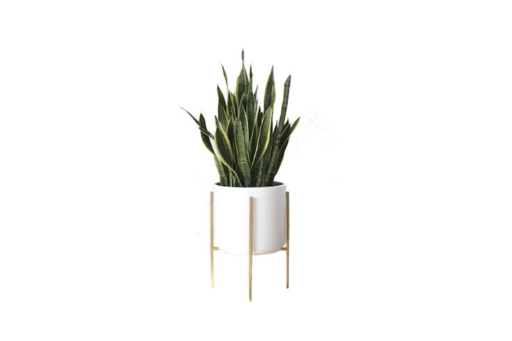 A Large Mid-Century Modern Cylinder Planter with a gold metal stand has a diameter of \1\2.75 inches and is \$\179.\10 at the Potted Earth Co.